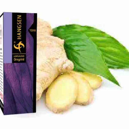 HANGSEN E-LIQUID GINGER SECRET (10ML) - ELITE RANGE